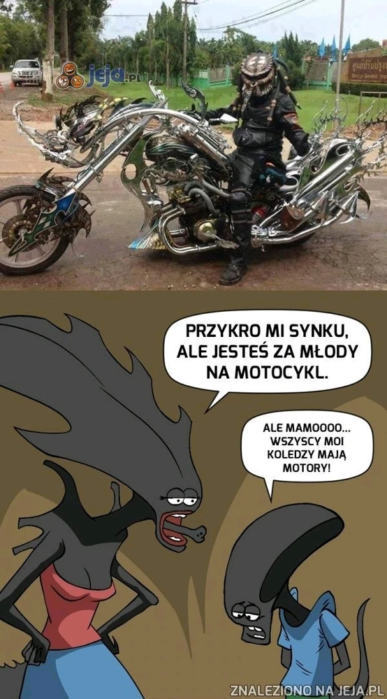 Zdjęcie dodane przez Damian