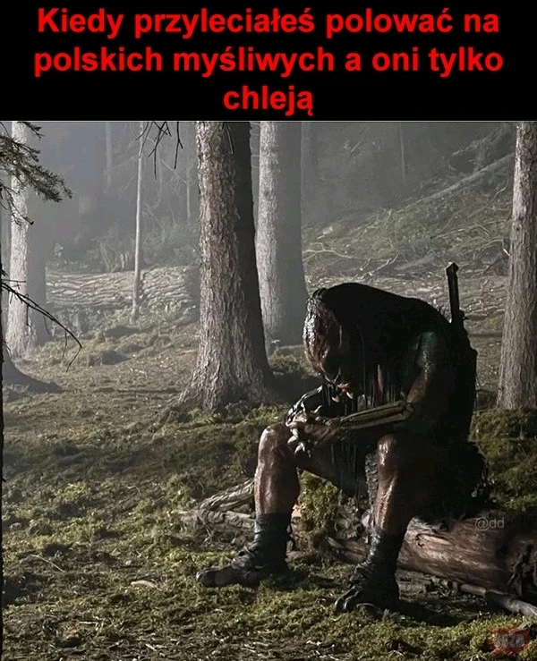 Zdjęcie dodane przez Damian