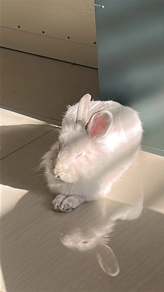 GIF uploaded by Yaara