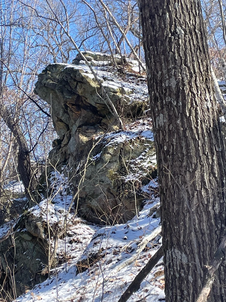 Image uploaded by Robbie