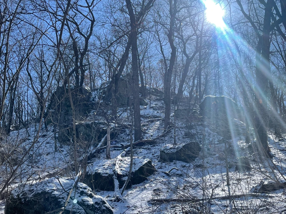 Image uploaded by Robbie