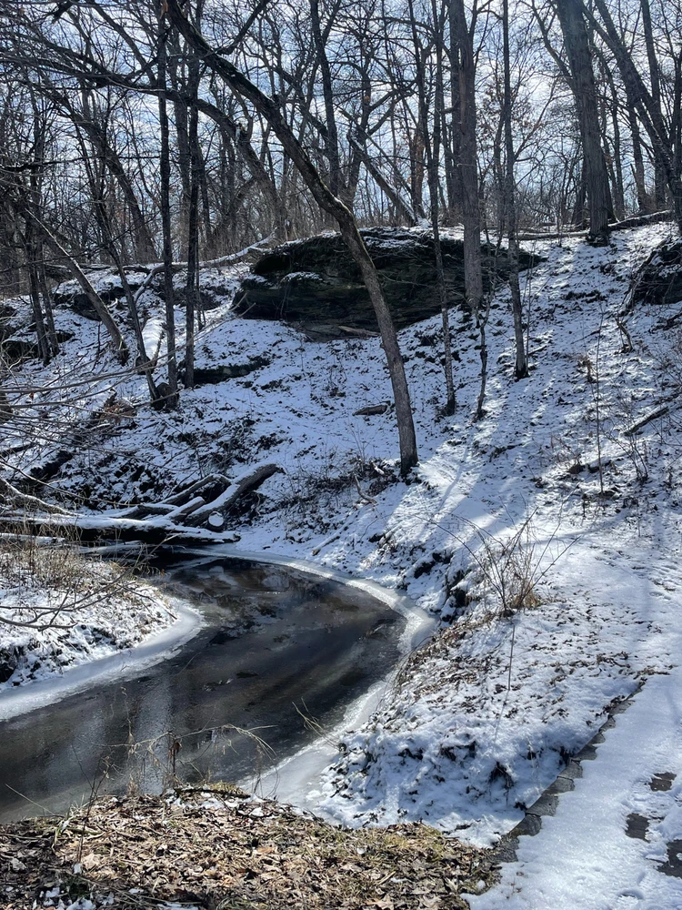 Image uploaded by Robbie