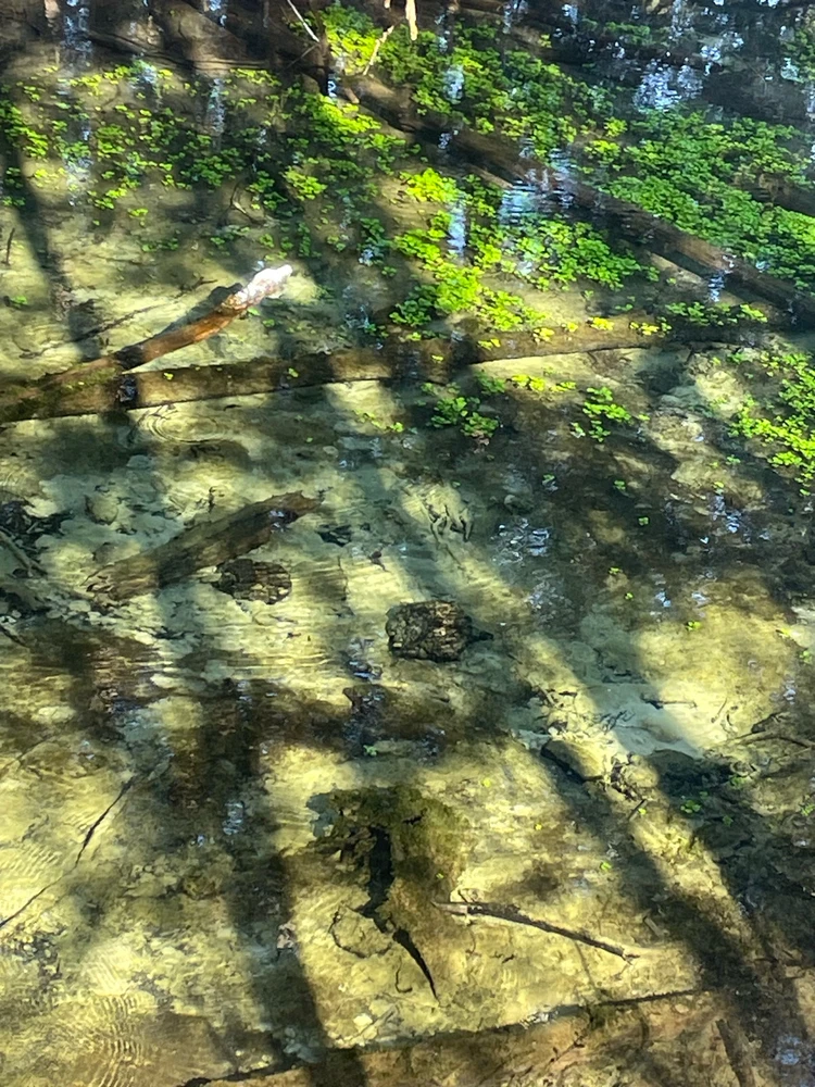 Image uploaded by Robbie