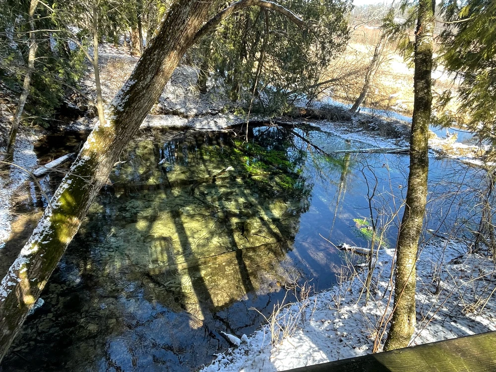 Image uploaded by Robbie