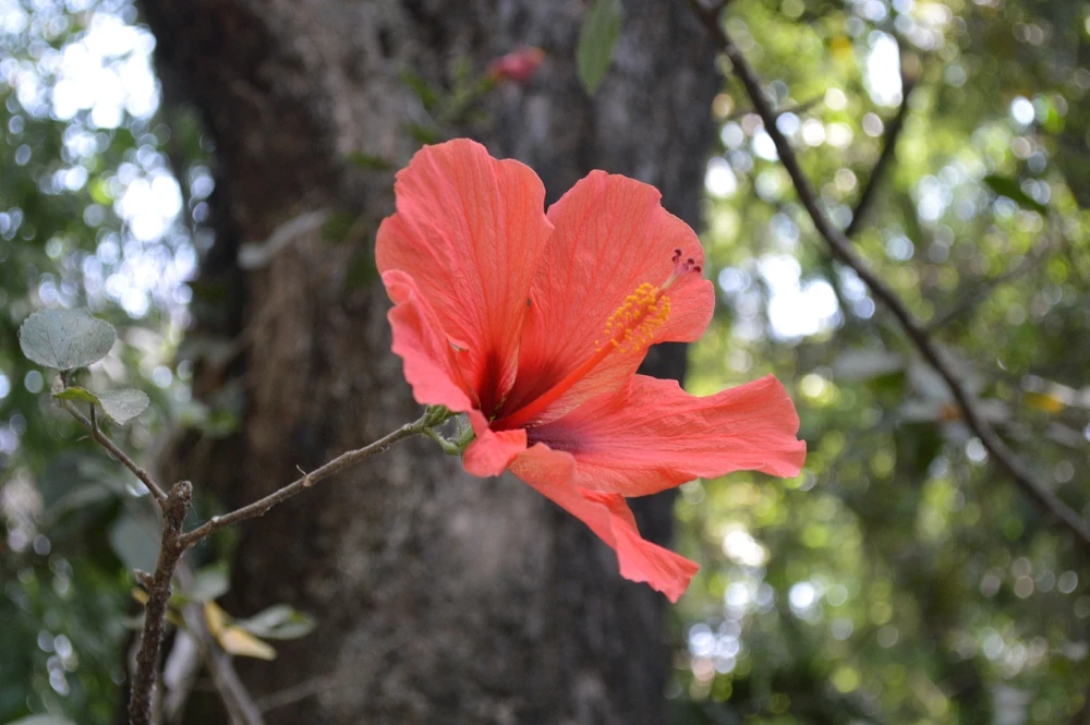 GIF uploaded by Mario Giovanni