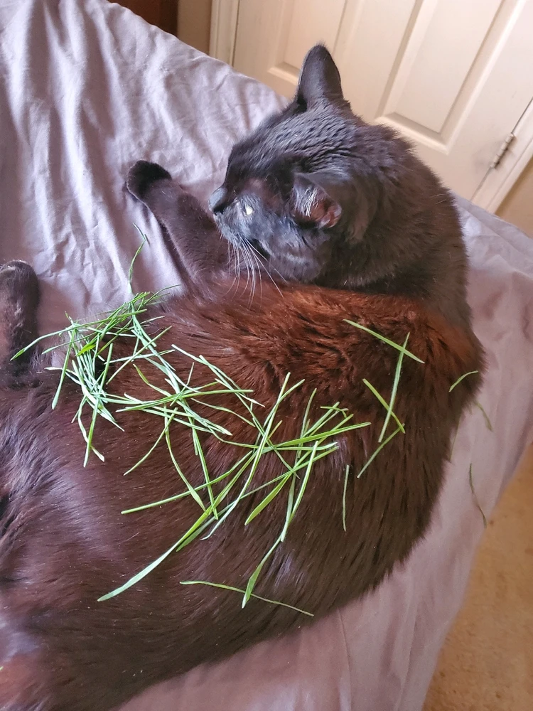 GIF uploaded by Lonny