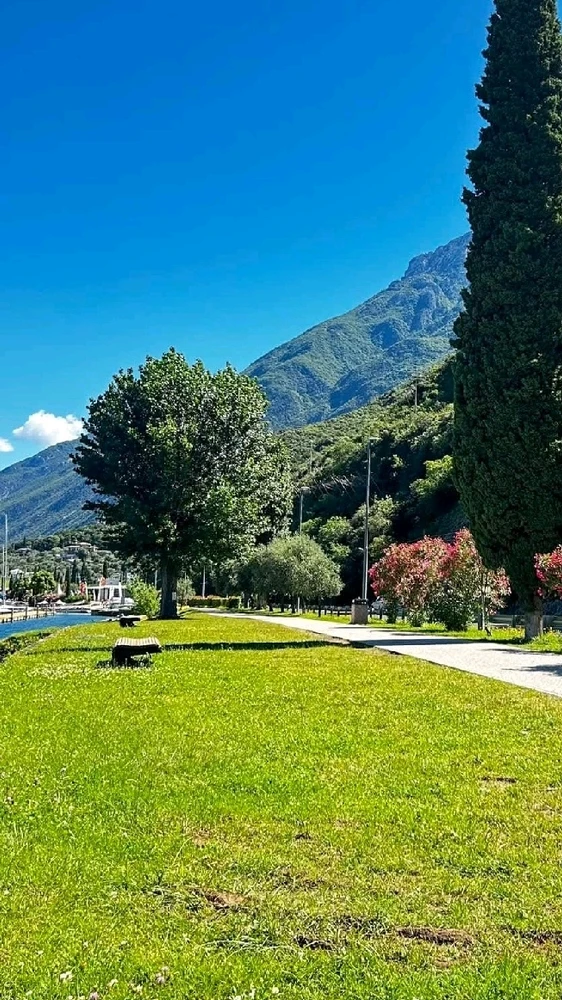 Image uploaded by LITA