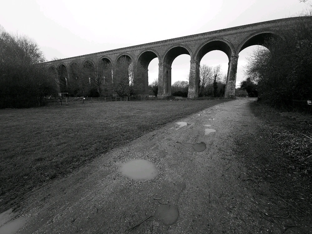 Image uploaded by Sacha