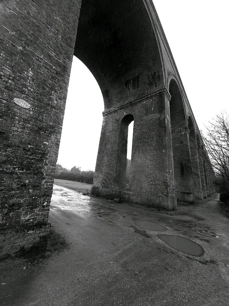 Image uploaded by Sacha