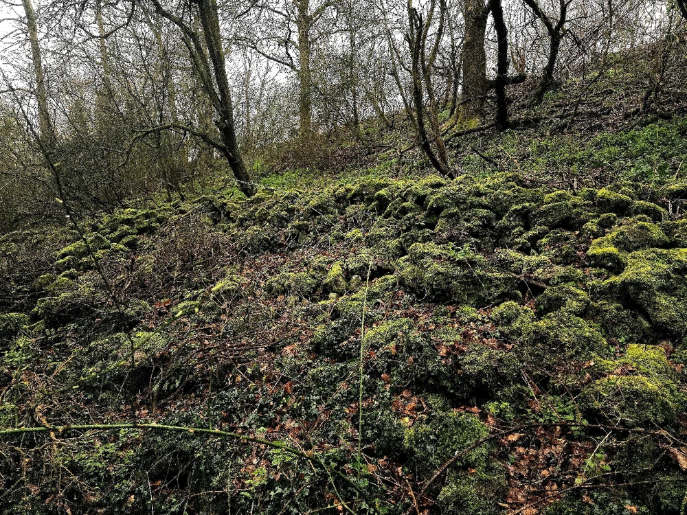 Image uploaded by Sacha