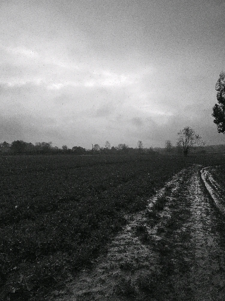 Image uploaded by Sacha