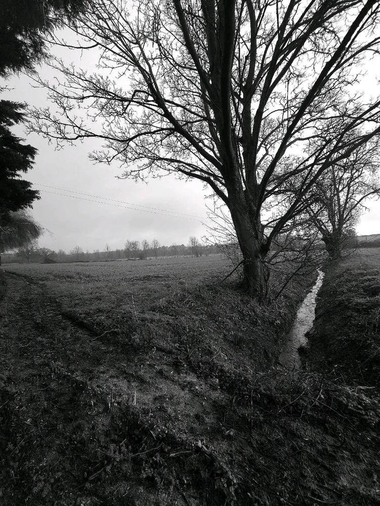 Image uploaded by Sacha