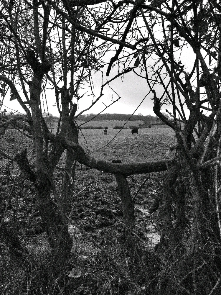 Image uploaded by Sacha