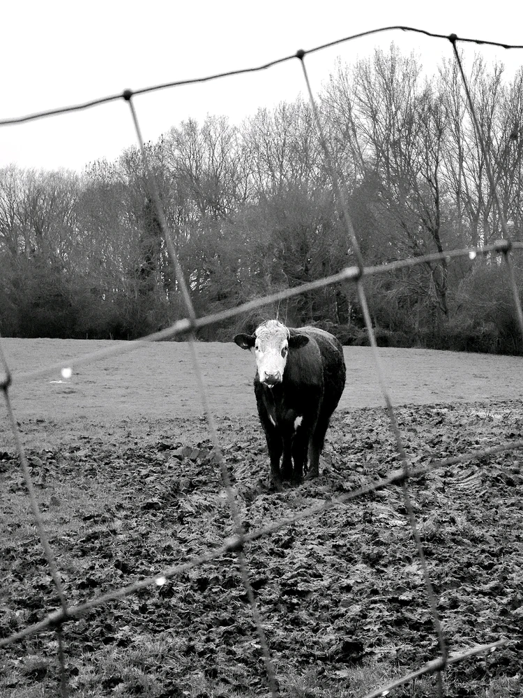 Image uploaded by Sacha