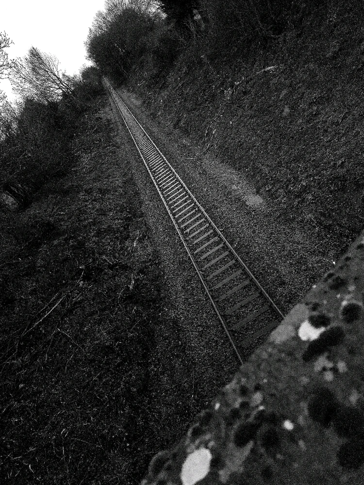 Image uploaded by Sacha