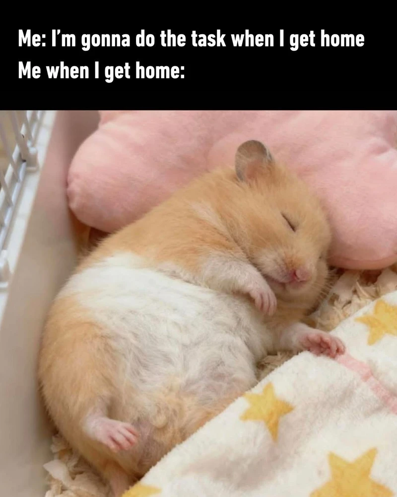 GIF uploaded by Manuel