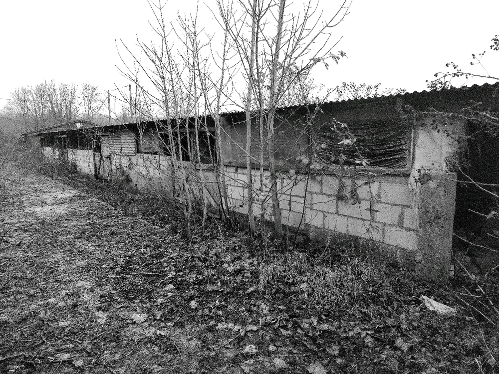 Image uploaded by Sacha