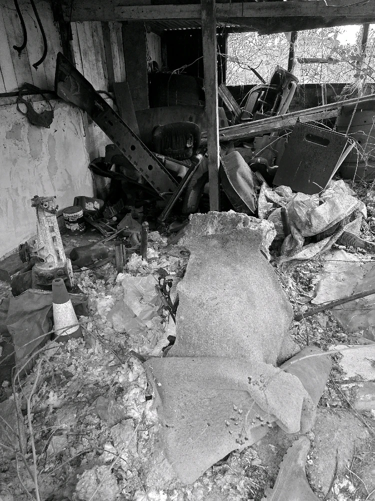 Image uploaded by Sacha