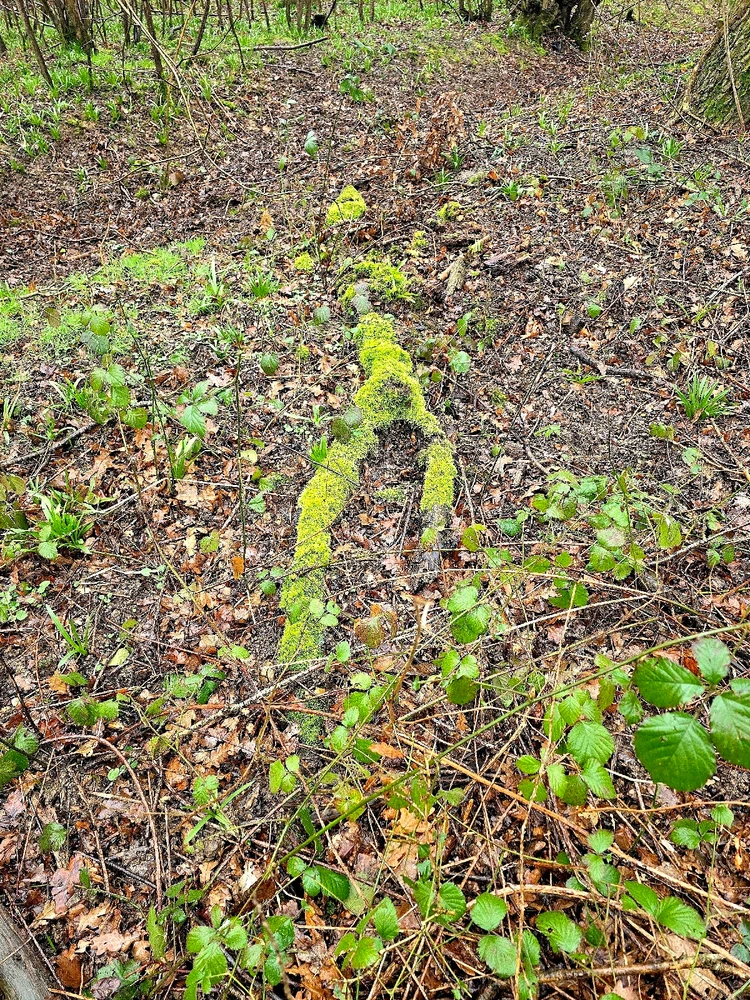 Image uploaded by Sacha