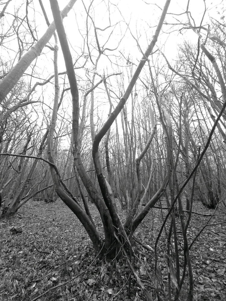 Image uploaded by Sacha