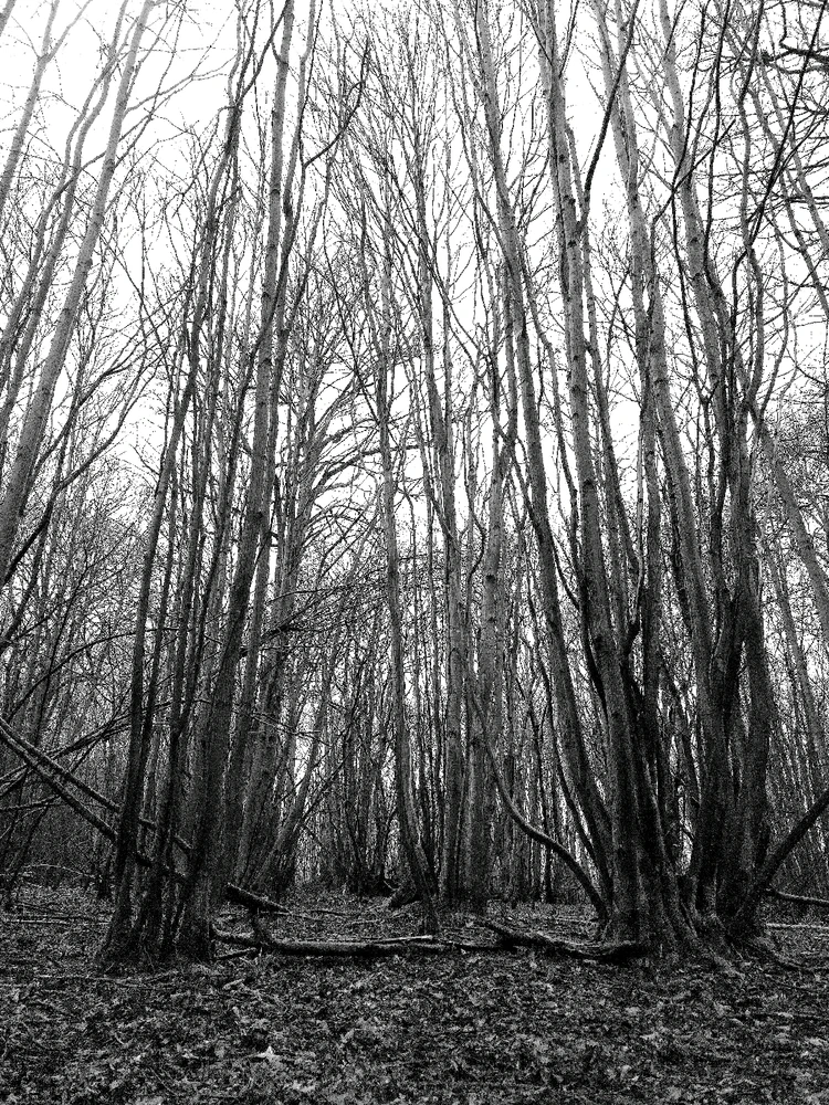 Image uploaded by Sacha