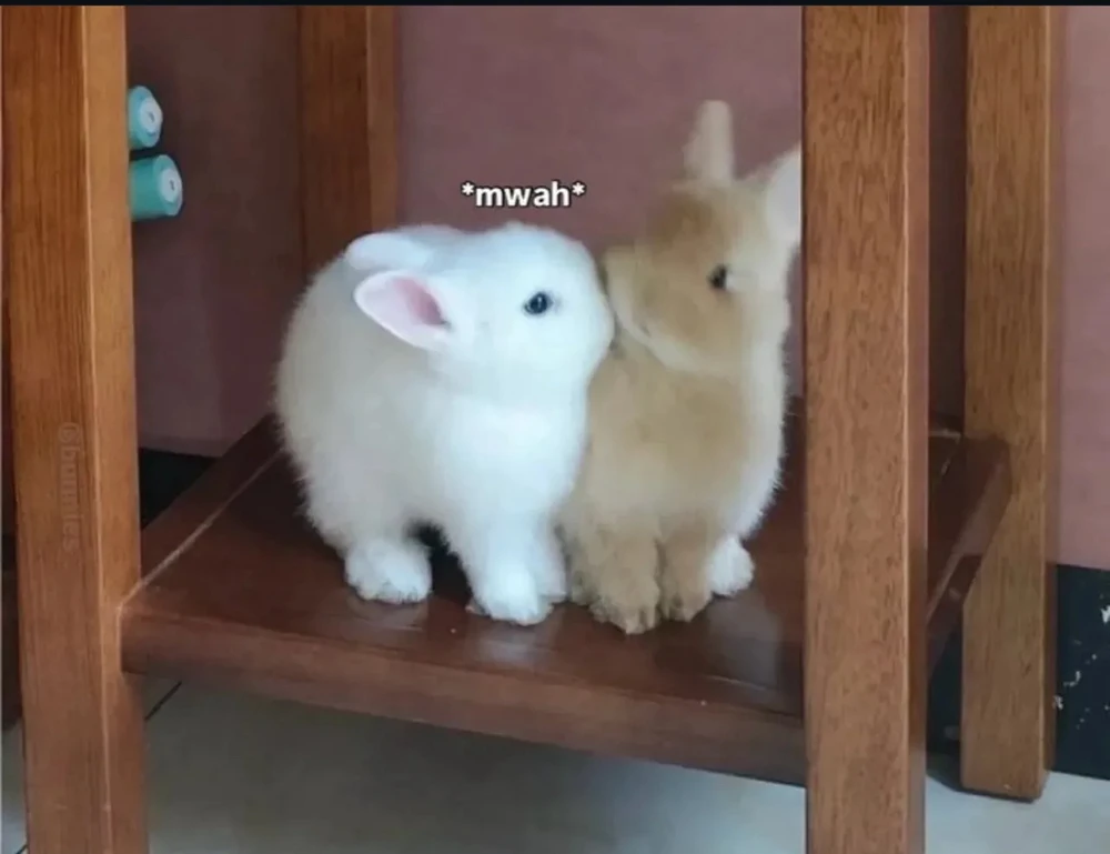 GIF uploaded by Ubaid