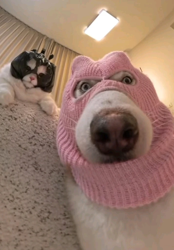 GIF uploaded by Amund