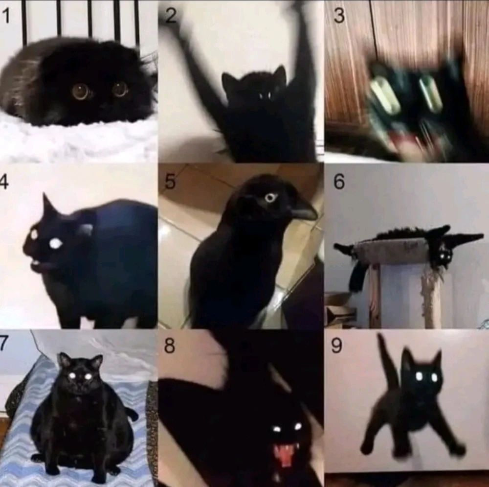 GIF uploaded by Amund