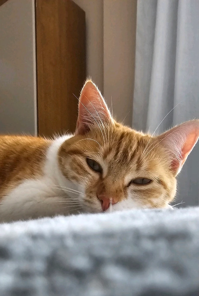 GIF enviado por Renata