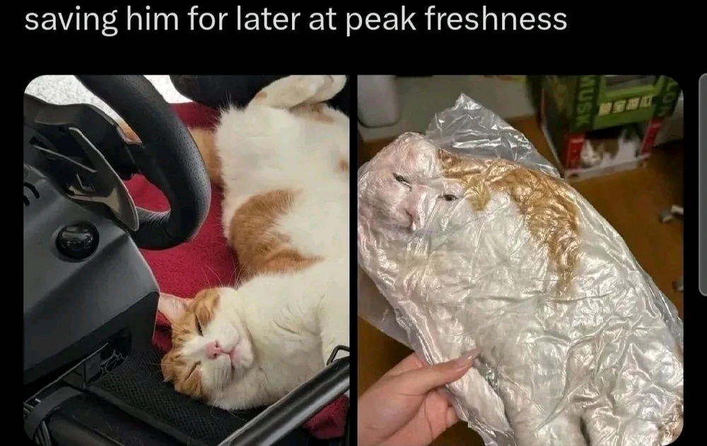 GIF uploaded by Jerald