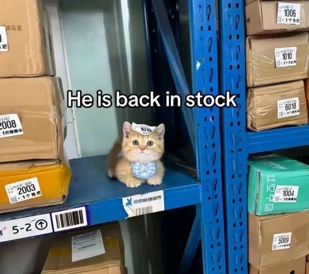 GIF uploaded by Amund