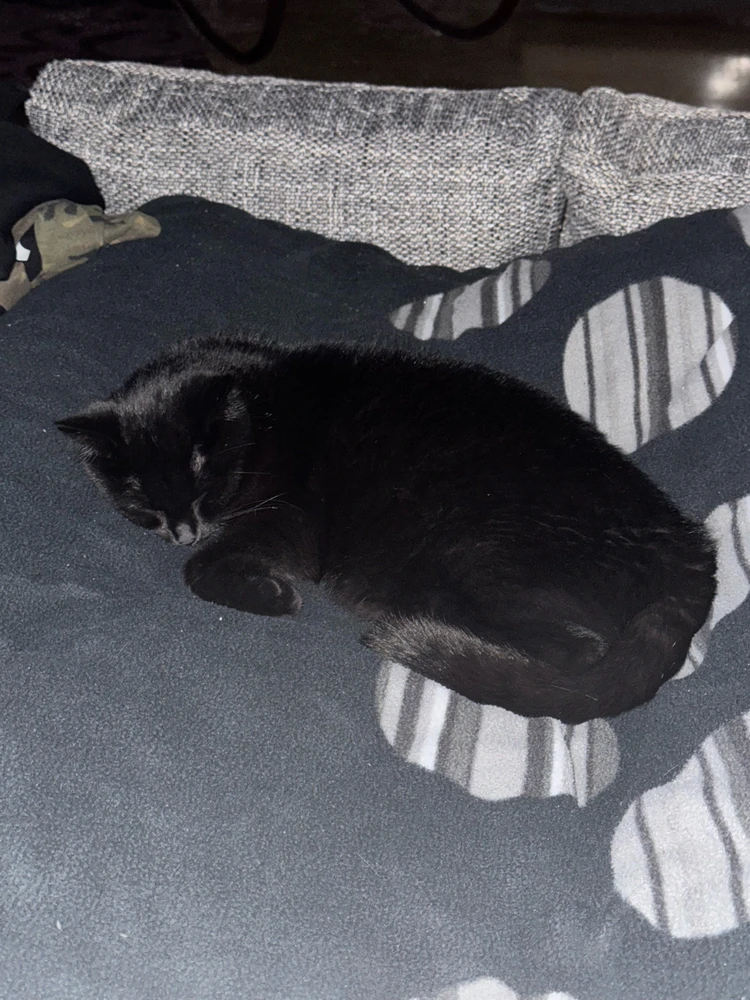 GIF hochgeladen von Robin