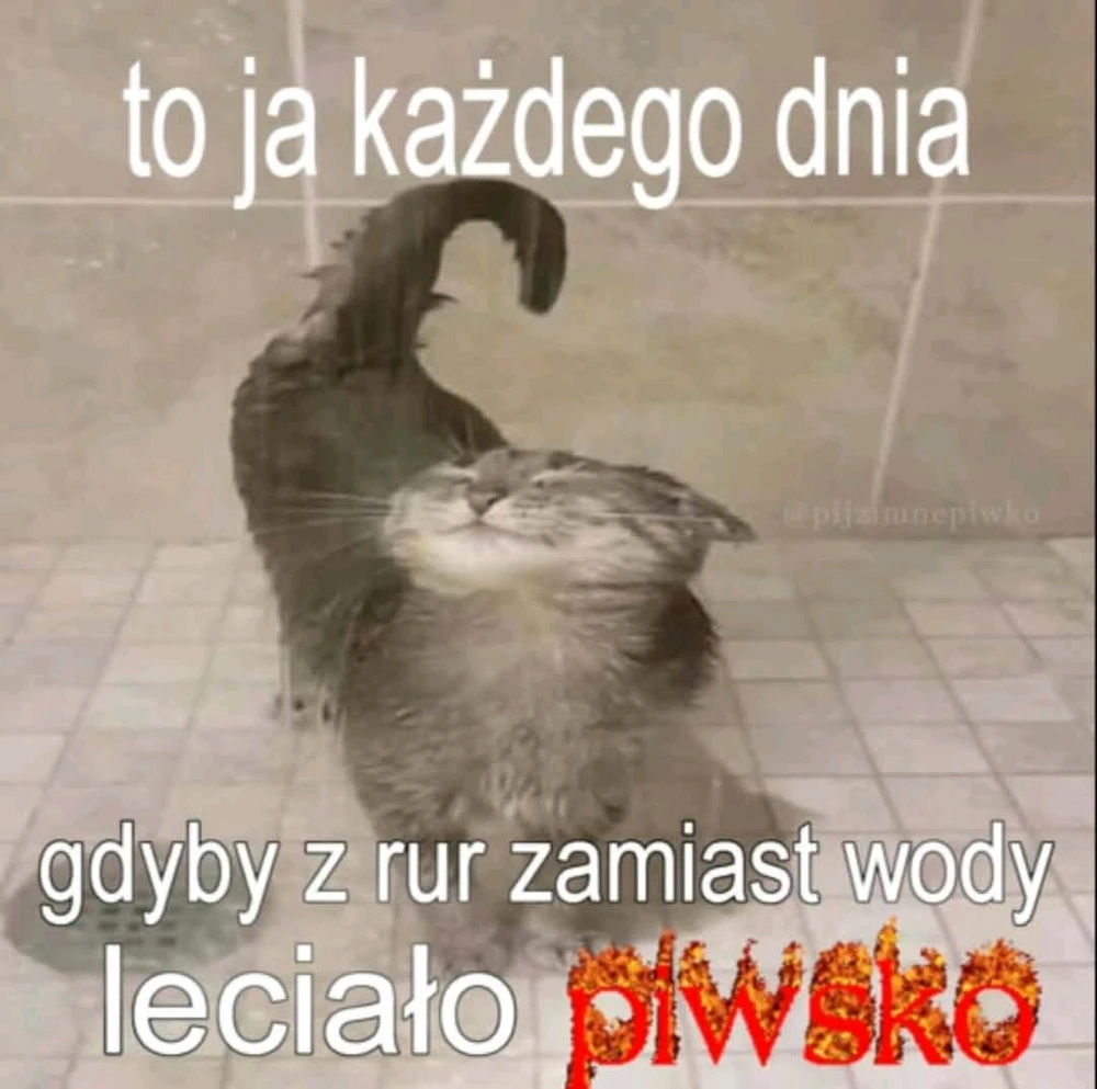 GIF dodany przez Ala