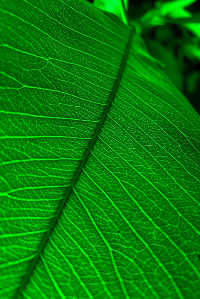 GIF uploaded by MDVICK