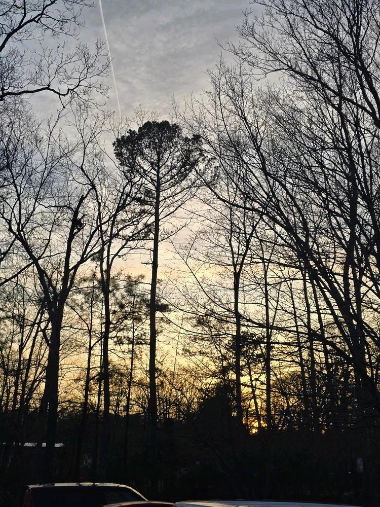 GIF uploaded by Joshua Ackley