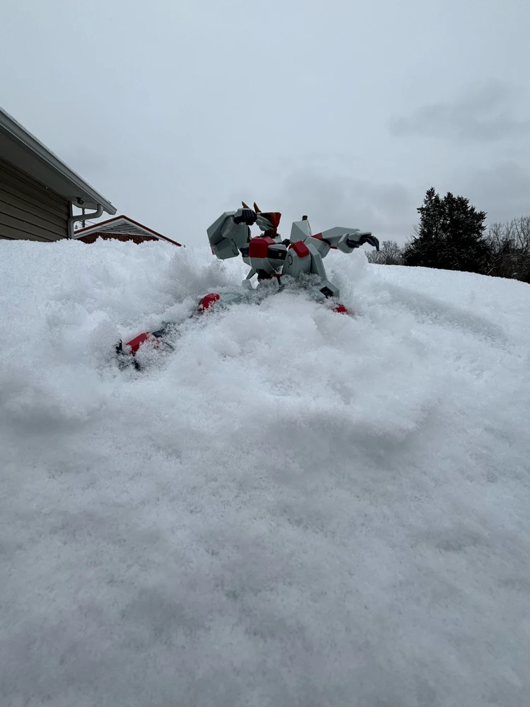 Gambar diunggah dening Tyler