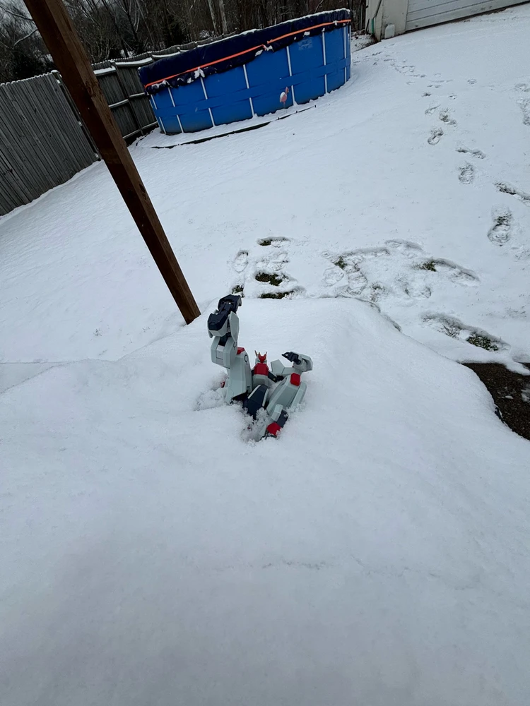 Gambar diunggah dening Tyler