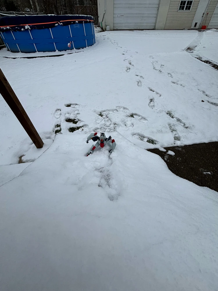 Gambar diunggah dening Tyler