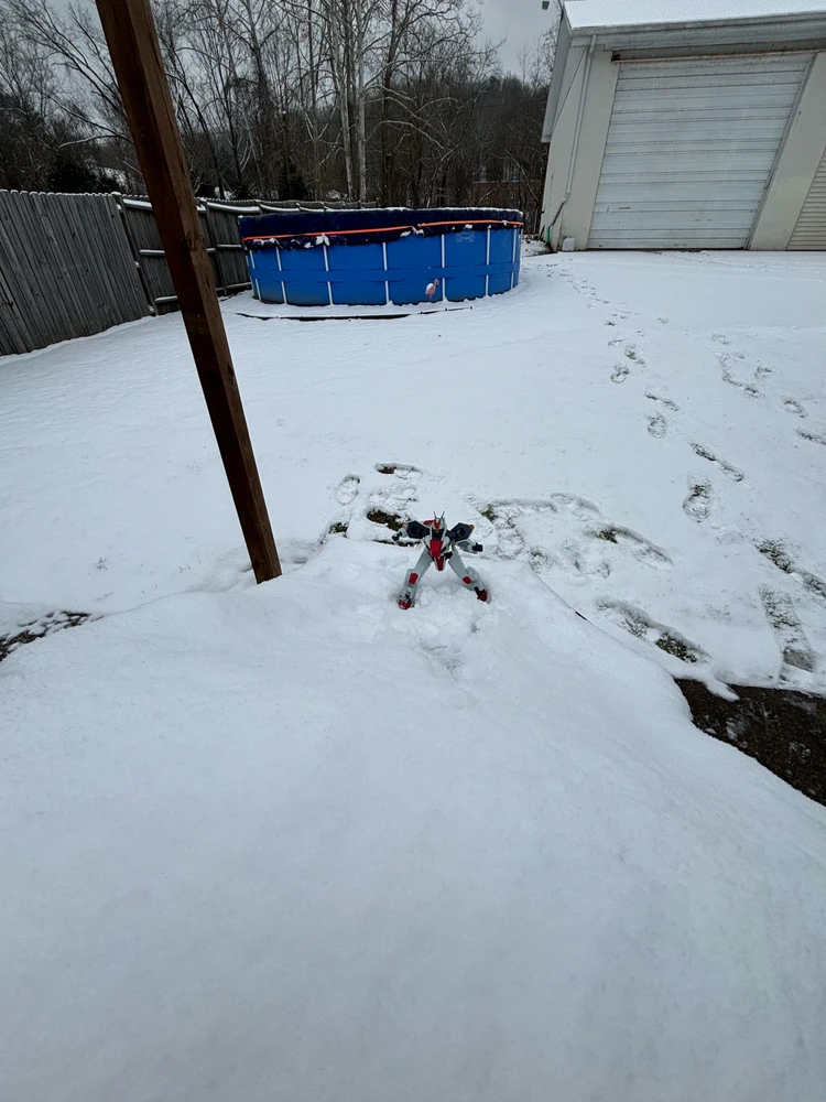 Gambar diunggah dening Tyler