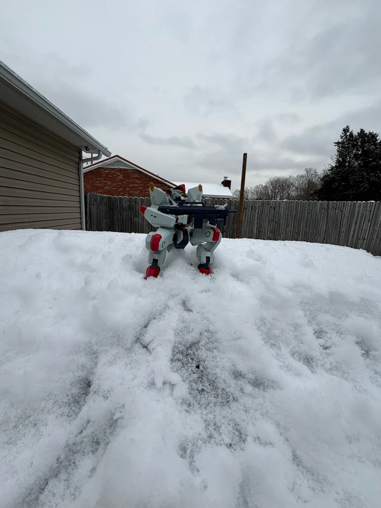 Gambar diunggah dening Tyler