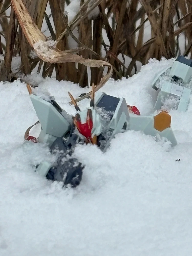 Gambar diunggah dening Tyler