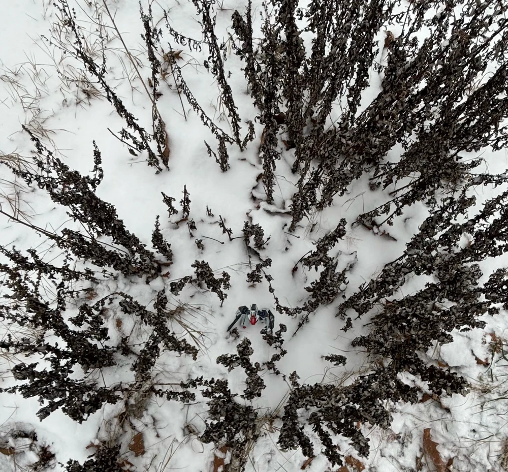 Gambar diunggah dening Tyler