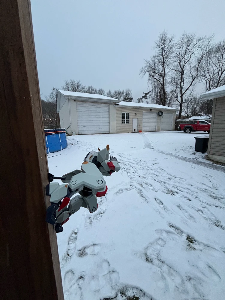 Gambar diunggah dening Tyler