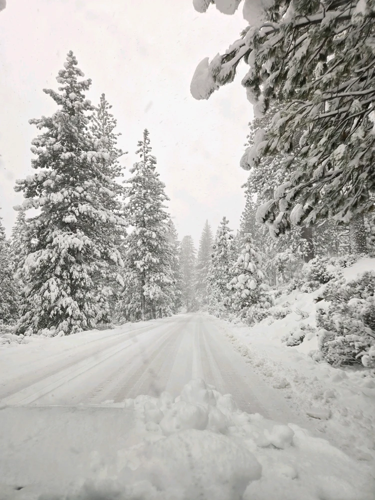 GIF uploaded by Angie