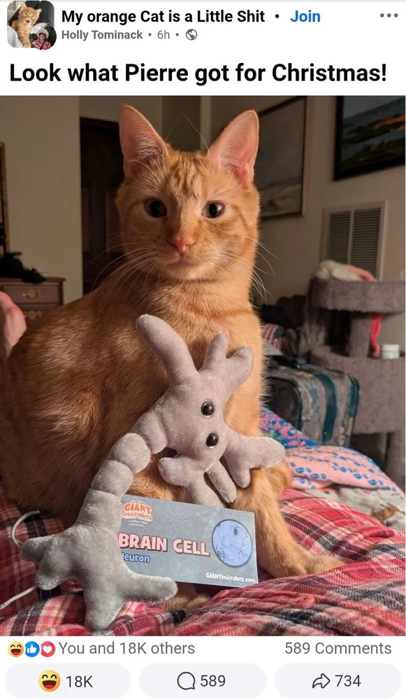 Image uploaded by Kitty