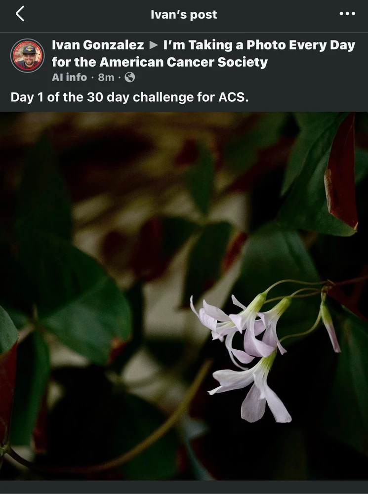 GIF uploaded by Ivan