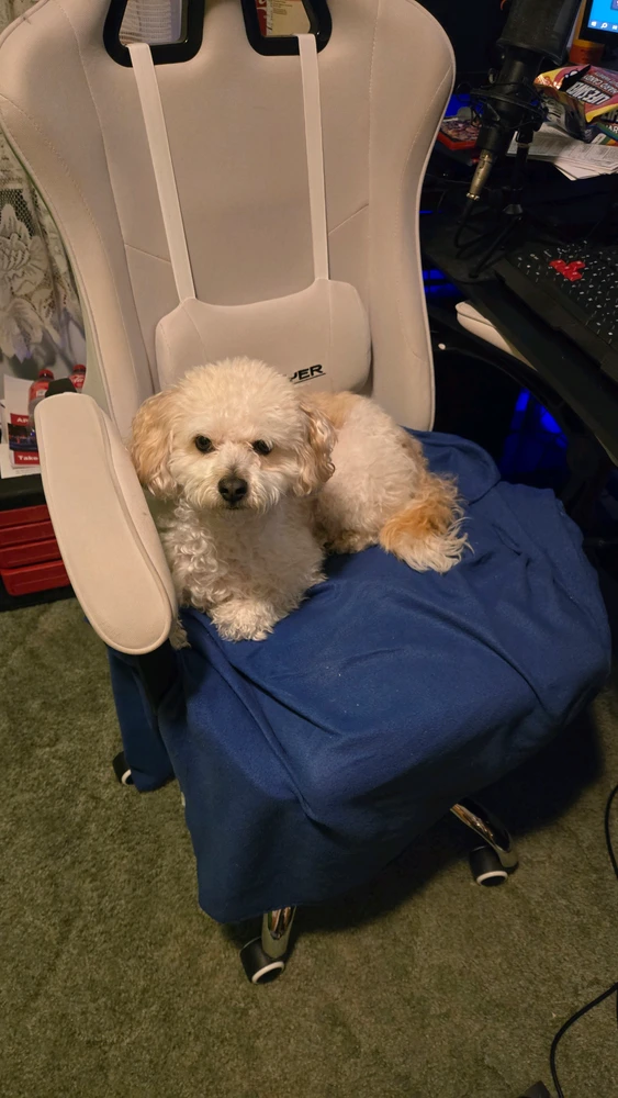 GIF uploaded by Cody