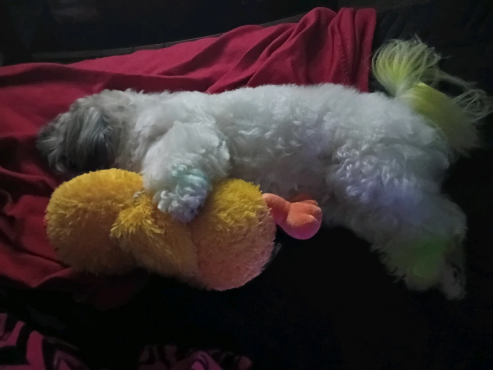 GIF uploaded by πΉπππππππ