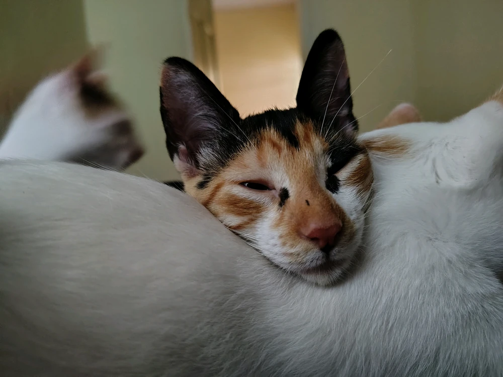 GIF enviado por Ryan