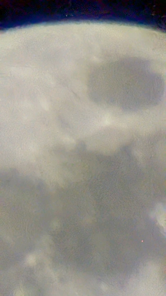 Image uploaded by RJ